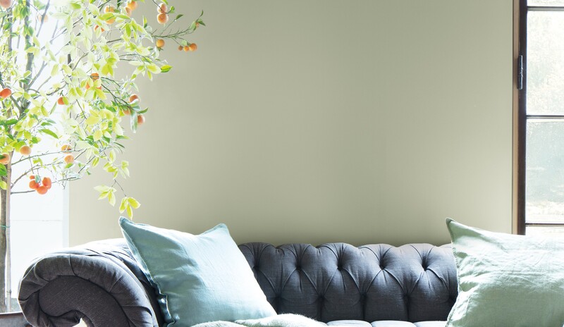 Color Trends 2022